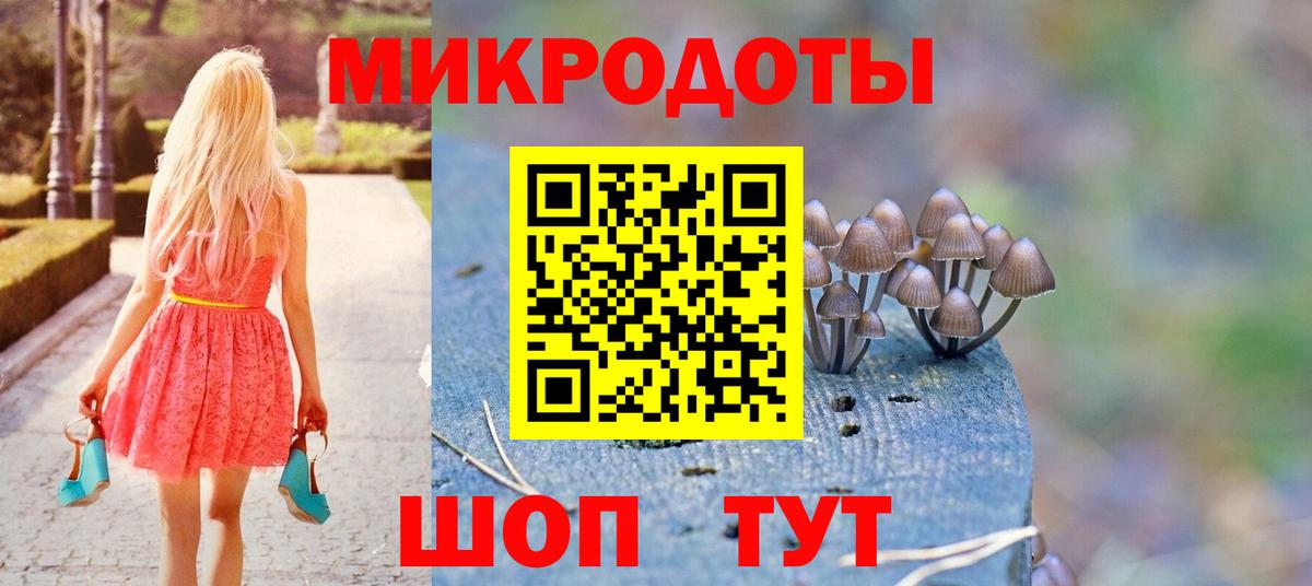 Псилоцибиновые грибы мицелий Владикавказ