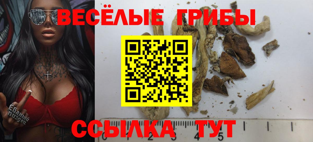 Владикавказ  Галлюциногенные грибы MAGIC MUSHROOMS  Вход с VPN 