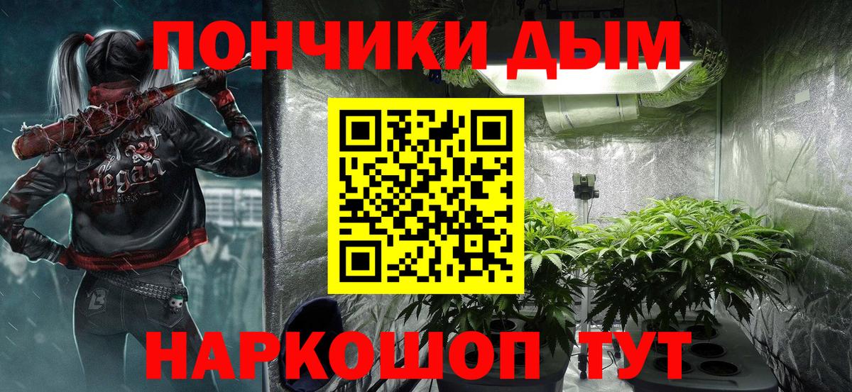 Шишки марихуана план Владикавказ